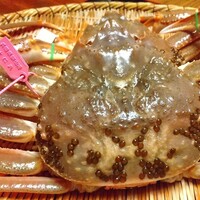 西村屋　和味旬彩 - 