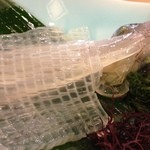 河太郎 - どや！この透明感