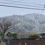 ささら - お店の前は北国擬き