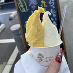 夢ジェラート - かぼちゃ、マルカン