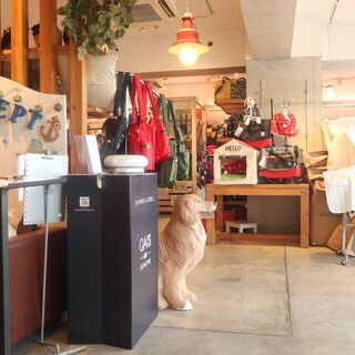 ドッグ デプト プラス カフェ_2