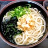 うどんのふじい - かけうどん(小)