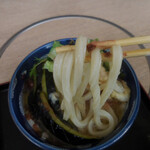 歌行燈 - 富山県産　白海老バラ天と揚げ茄子おろしうどん；麺はこんな感じ