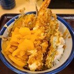 Tendon Tenya - 