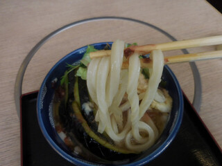 Utaandon - 富山県産　白海老バラ天と揚げ茄子おろしうどん；麺はこんな感じ