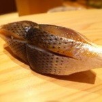 鮨 おとわ - 江戸前 小鰭