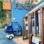 FUNGO - 