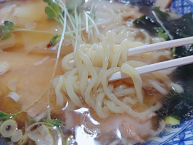 寿亭（コトブキテイ） - 磐城石川（ラーメン）の写真