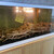 美食船 かまた丸 - 料理写真:入り口の蟹水槽