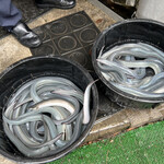 うなぎ亭 友栄 - 