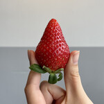 ノースショア - 大粒でとっても甘かったいちご