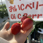 姫路ハートフル観光農園 - 