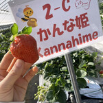 姫路ハートフル観光農園 - 