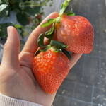 姫路ハートフル観光農園 - 