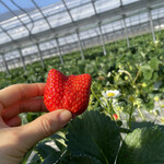 姫路ハートフル観光農園 - 