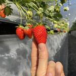 姫路ハートフル観光農園 - 