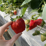 姫路ハートフル観光農園 - 