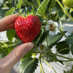 姫路ハートフル観光農園 - 