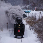 大鵬 - SL釧路の湿原号　関係無いけど…