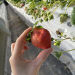 姫路ハートフル観光農園 - 