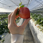 姫路ハートフル観光農園 - 