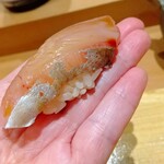 天ぷら たけうち - 熊本天然シマアジ(2キロ)