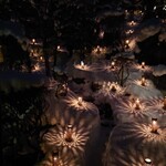 会津東山温泉 向瀧 - 