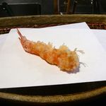 【車海老】★2012/12