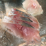 寿し波岸 其ノ弐 - 