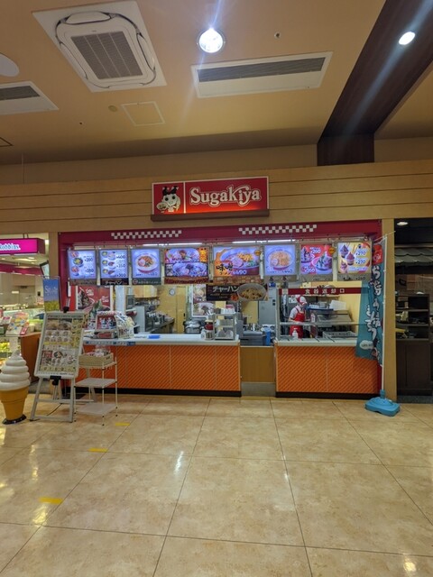 Sugakiya Kireuriha Ion Ten photo 4