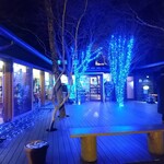 トラットリア プリモ - 