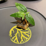 プレゼンテ スギ - 