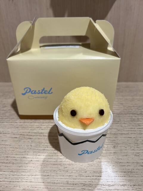 Pastel Ion Kasugai Ten