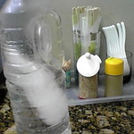 ラーメン力 - ぎょらん亭と同じく、水はコレｗｗｗ