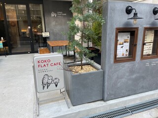 KokoFLAT cafe Hommachi - 入口にそびえたつミモザ