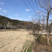 料亭 やまさ旅館 - 