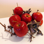 レストラン・モリエール - 