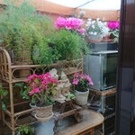 いわた - 窓の外のお花