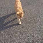 いわた - 外川駅近く