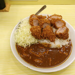 とんかつ檍のカレー屋 いっぺこっぺ 蒲田本店 - 檍のヒレカツ・カレー