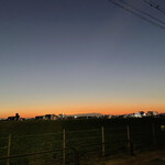 TOKIO フレンチ ルナティック - 