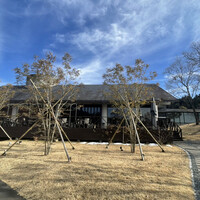 リストランテ 桜鏡 - 