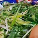塩そば専門店 桑ばら - 九条ネギの中華そば