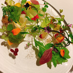 レフェルヴェソンス - 