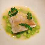 レフェルヴェソンス - 