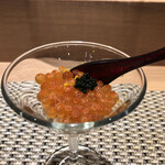 川崎 鮨 よこ田 - 