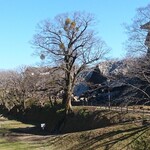 勝烈亭 新市街本店 - 