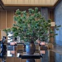 アルヴァ(アマン東京) - 