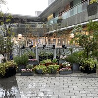 メゾン ポール・ボキューズ - 