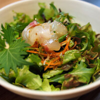 熱香森 - 麻婆豆腐ランチ